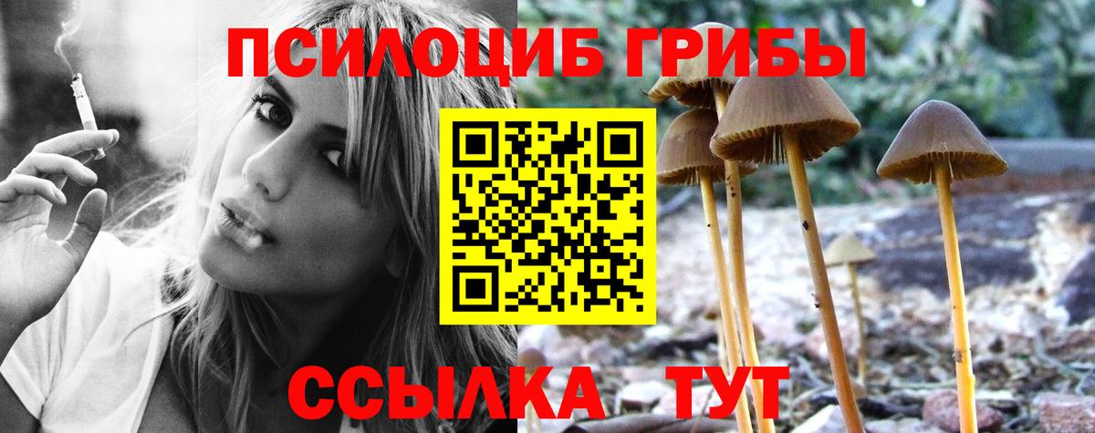 Югорск  Галлюциногенные грибы мицелий  Вход с VPN 