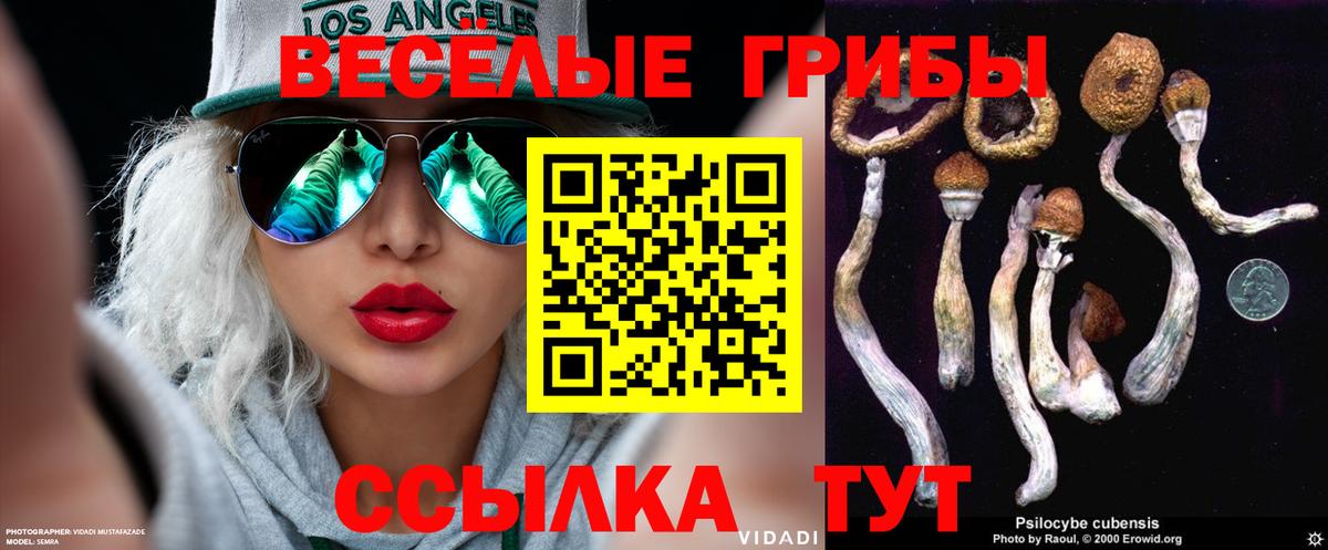 Псилоцибиновые грибы GOLDEN TEACHER Югорск